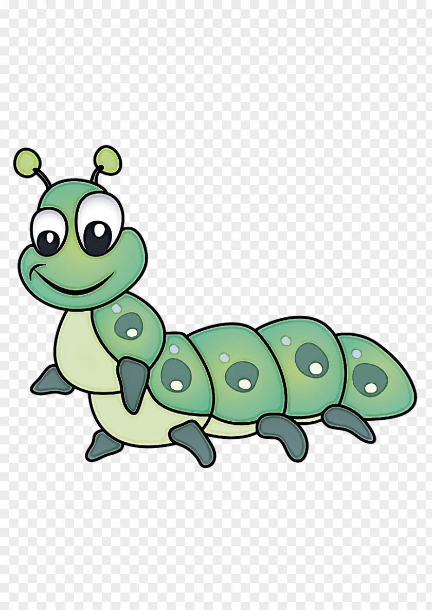 Insect Frogs Cartoon Butterflies Turtles PNG