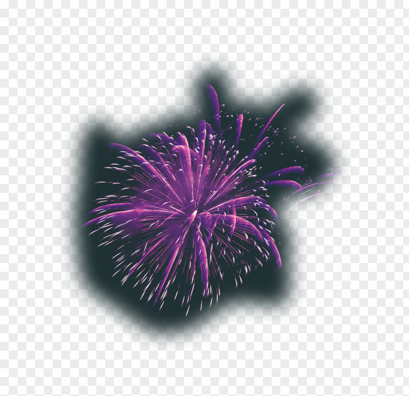 Pretty Purple Fireworks Adobe PNG