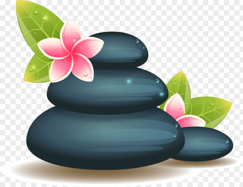 Vector Hand Painted SPA Stone Flower Spa Adobe Illustrator Drawing Illustration PNG