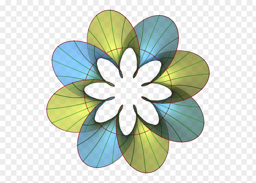 Car Flower Geometry Helicoid Research PNG