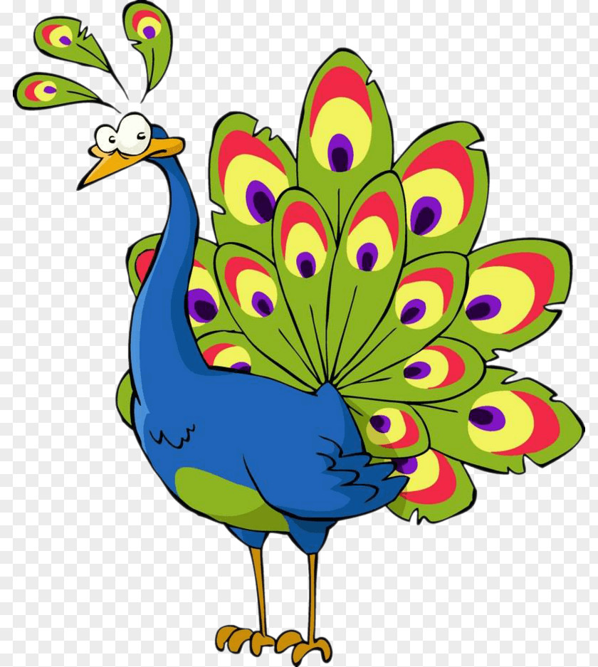Cartoon Peacock Royalty-free Stock Photography Vector Graphics Peafowl Illustration PNG