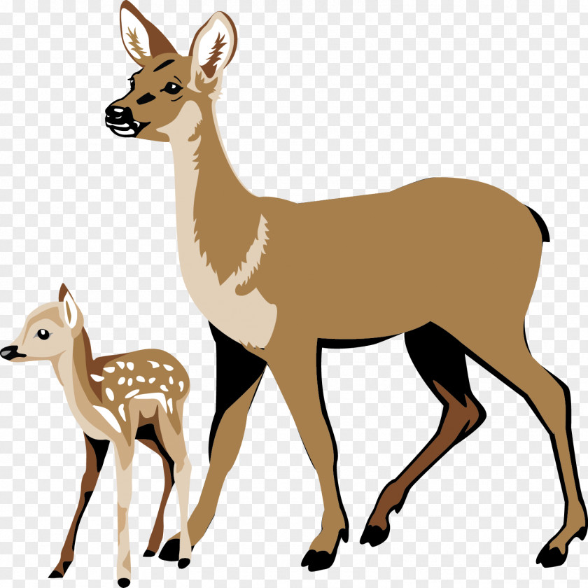 Deer White-tailed Ecosystem Energy Clip Art PNG
