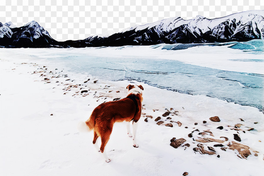 Dog 09738 Glacial Landform Snow Freezing PNG