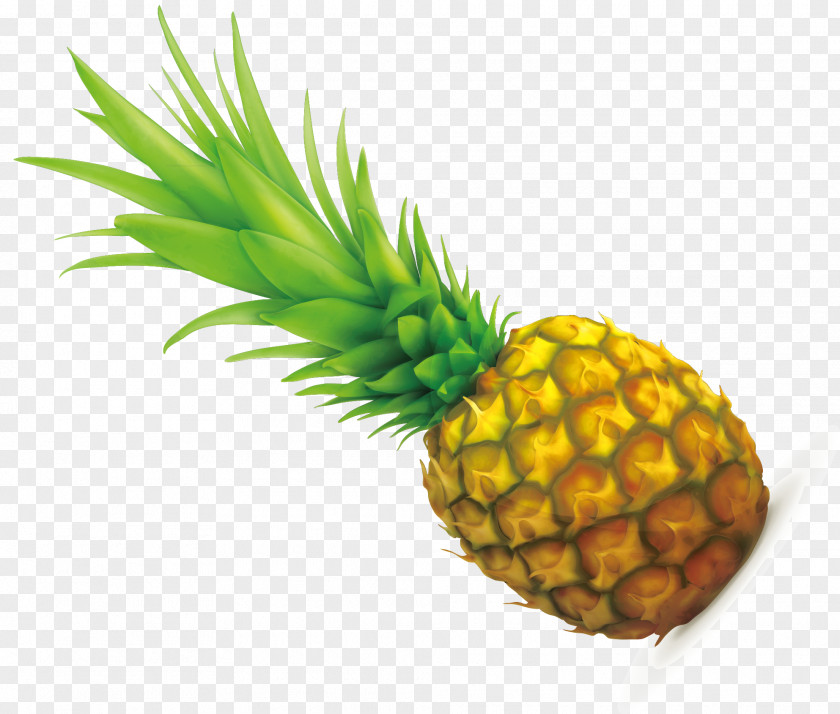Hand Painted Yellow Pineapple Green Seeding Vector PNG