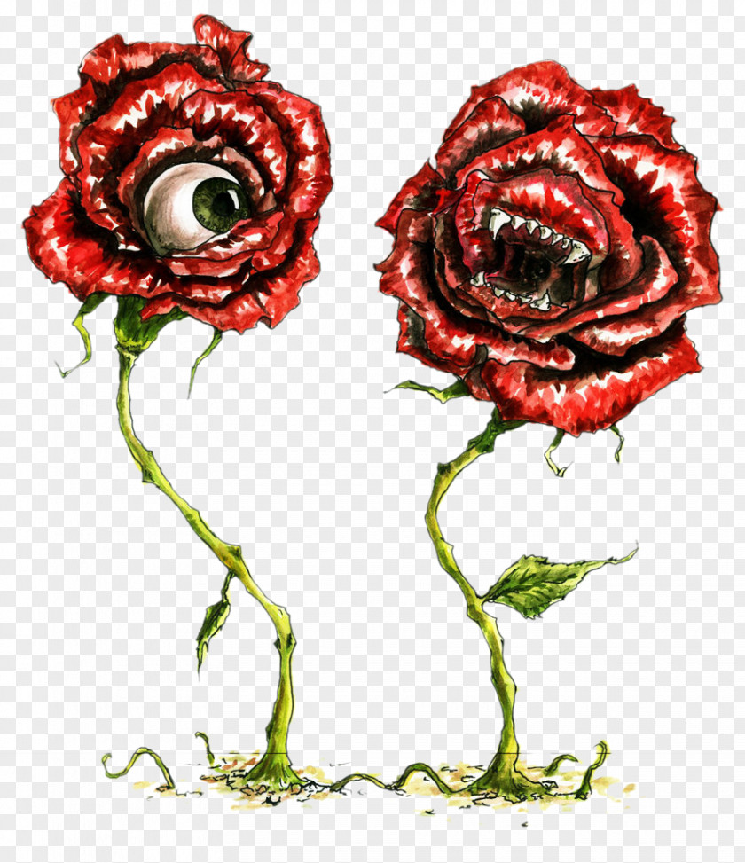 Long With The Eyes And Mouth Of Roses Garden Eye Beach Rose Flower PNG