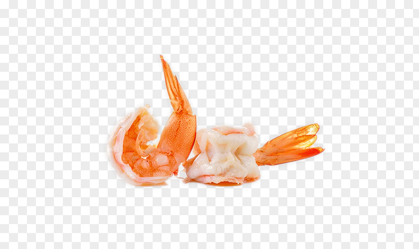Shrimps Cocktail Sashimi Caridea Shrimp Seafood PNG