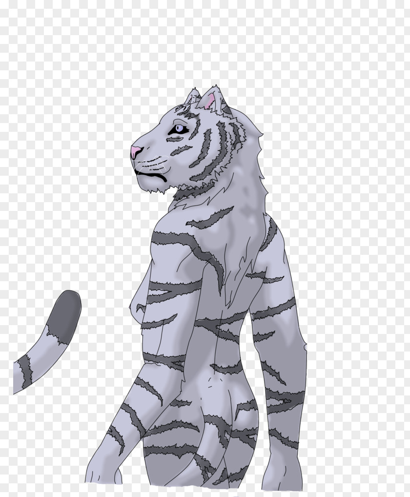 Tiger Drawing DeviantArt PNG