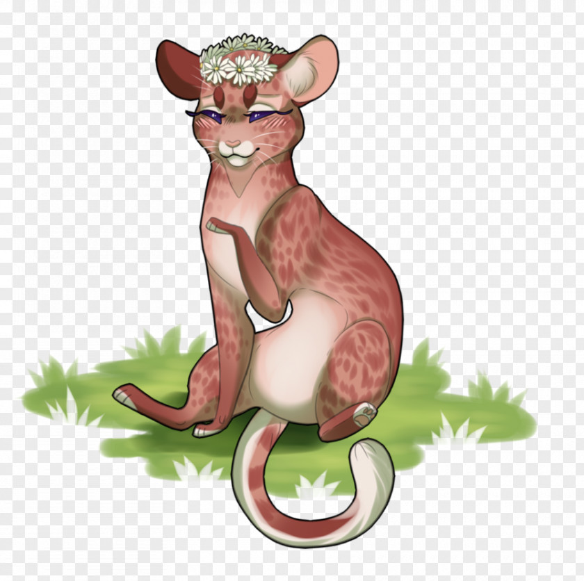 Cat Macropodidae Cartoon Fauna PNG