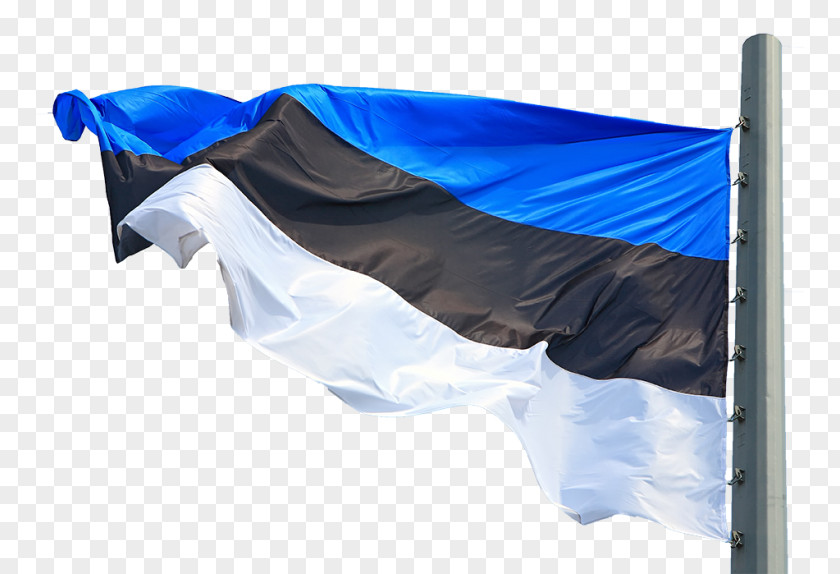 Estonia Flag Of National PNG