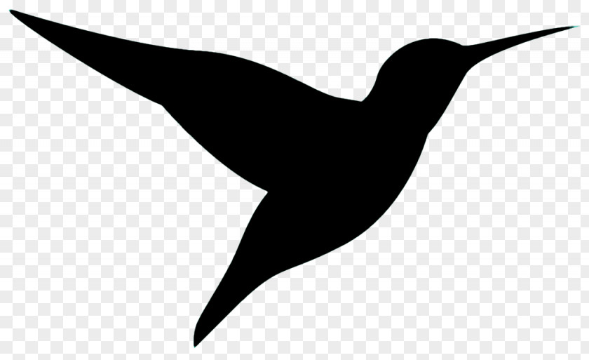Logo Wing Hummingbird PNG