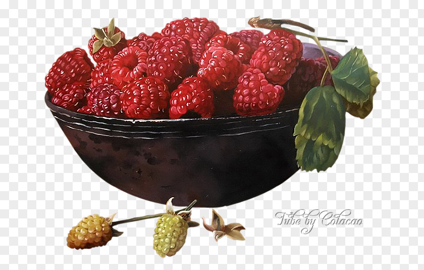 Painting Watercolor Art Still Life Fruit PNG