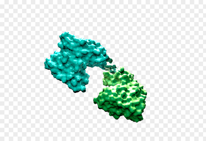 Sterilized Virus Antibody Bi-specific T-cell Engager Pharmaceutical Drug Bispecific Monoclonal Amgen PNG