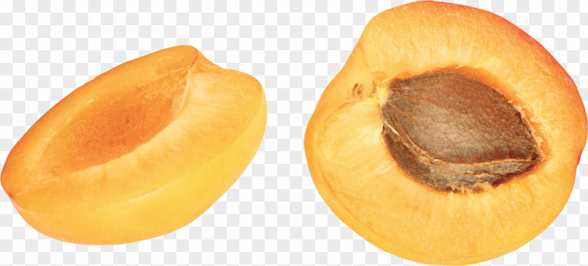 Apricot Fruit Nectarine PNG
