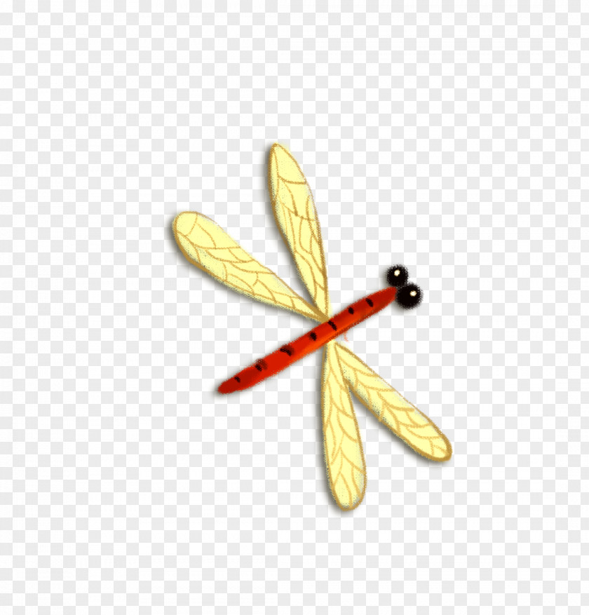 Cartoon Dragonfly Download PNG