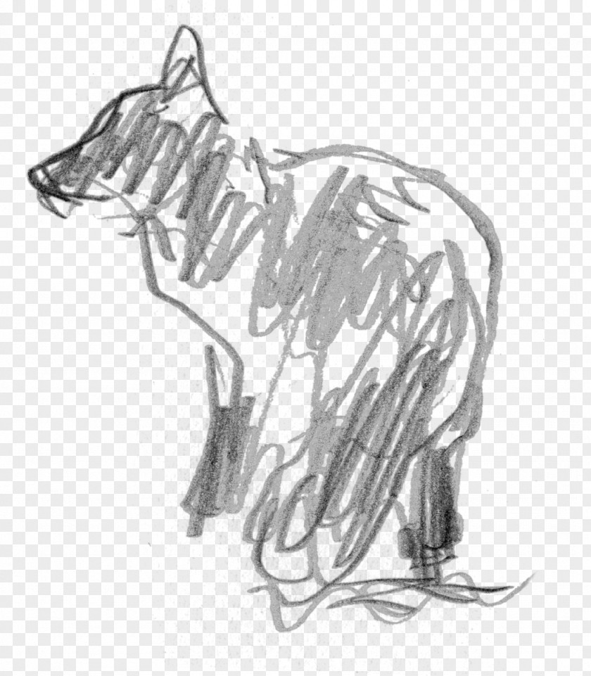 Cat Dog Mammal Sketch PNG