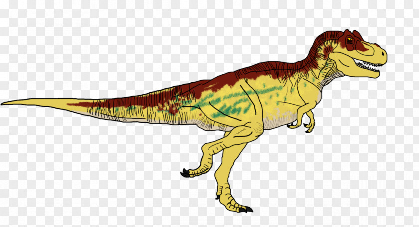 Dinosaur Tyrannosaurus Tarbosaurus King Euoplocephalus Velociraptor PNG