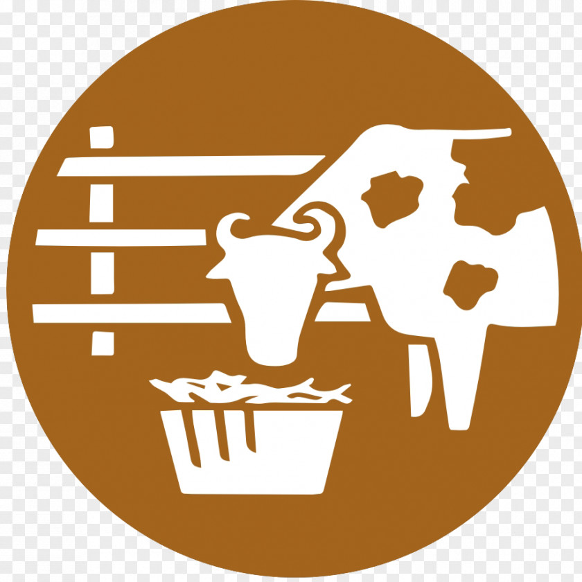 Heifer Human Behavior Homo Sapiens Animal Clip Art PNG