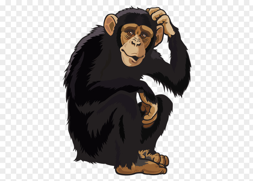 Orangutan Monkey Clip Art PNG
