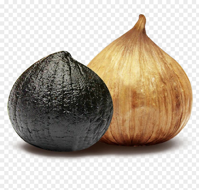 Shandong Black Garlic Fermentation Food PNG