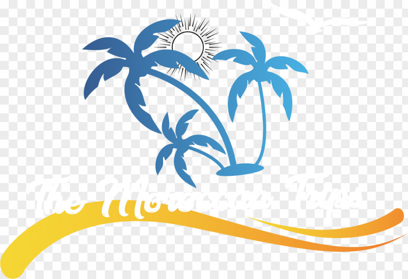 Arecales Plant Palm Tree Drawing PNG