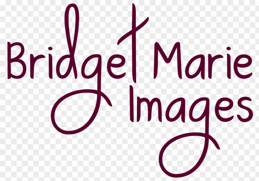 Bridget Photography Wedding Colorado Photographer PNG