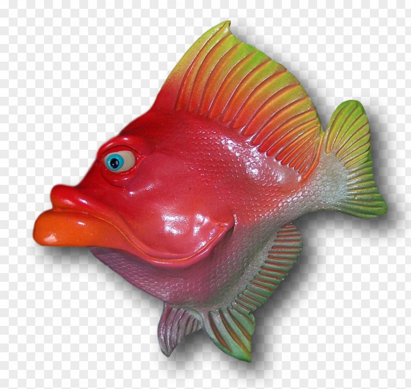Lovely Fish Marine Biology Organism Artist PNG