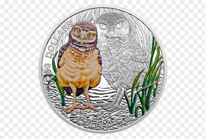 Owl Coin Canada Royal Canadian Mint Silver PNG