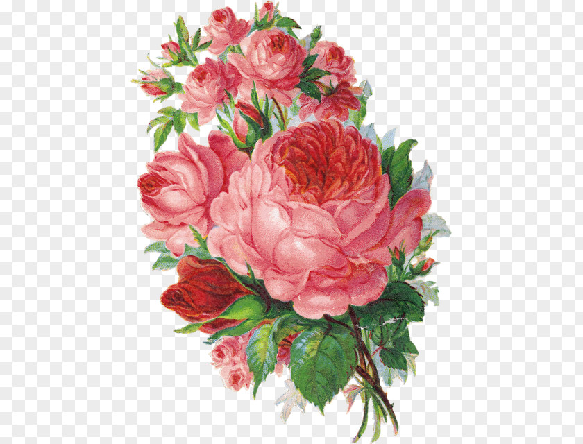 Watercolor Floral Decoration Painting Shabby Chic Rose Flower Design PNG
