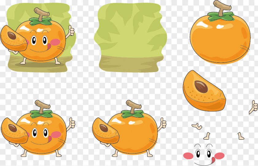 Delicious Persimmon Expression Vector Cartoon Fruit Illustration PNG