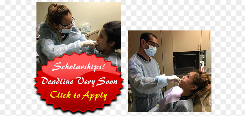 Dental Assistant Van Nuys Dog Breed Scholarship Dentist PNG