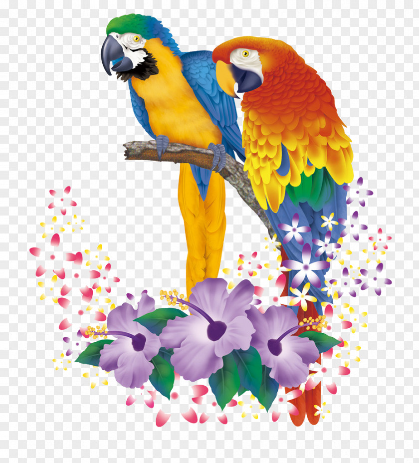 Hand-painted Parrot Pattern Cartoon Animation PNG