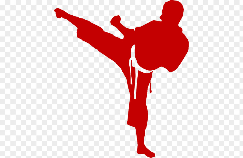 Karate Martial Arts Stock Photography Kick Black Belt PNG