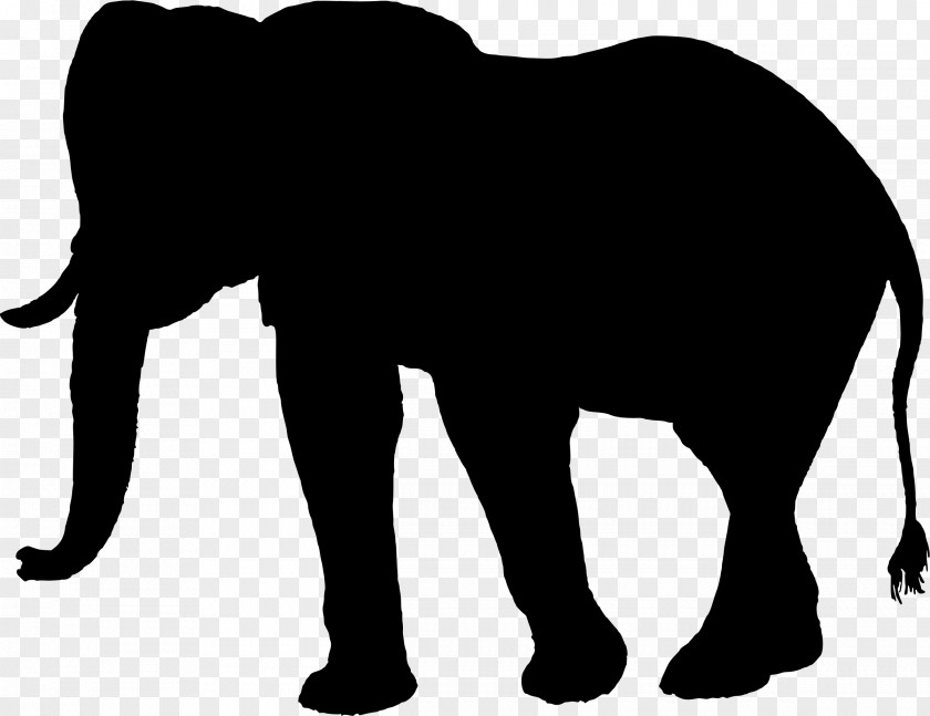 Silhouette African Elephant Elephantidae Clip Art PNG