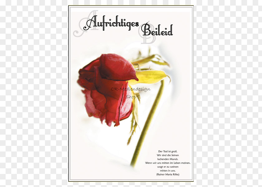Text Poster Condolences Greeting & Note Cards Beileidskarte Garden Roses Post PNG