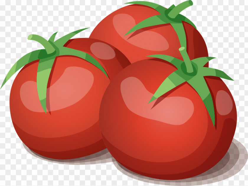 Three Tomatoes Tomato Juice Vegetarian Cuisine Vegetable PNG