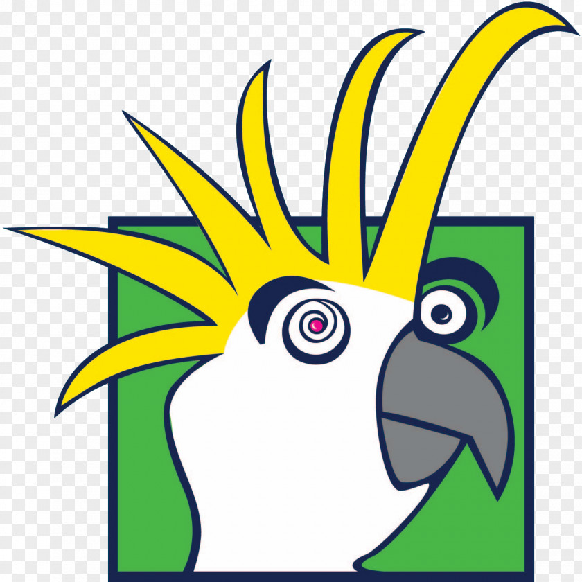 Design Beak Graphic Cartoon Clip Art PNG