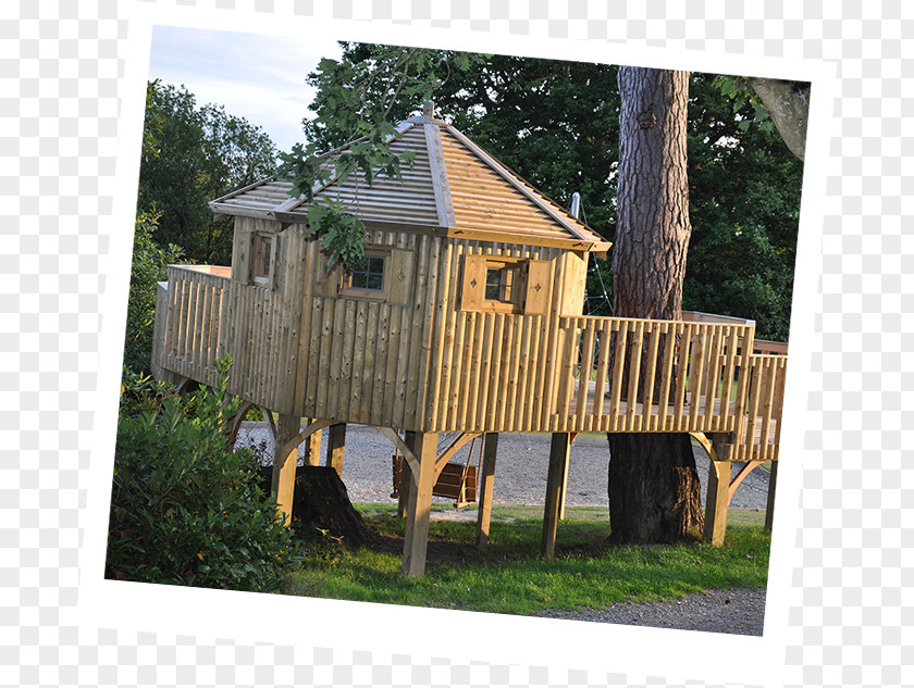 Lakeside Trees Tree House Child Shed PNG