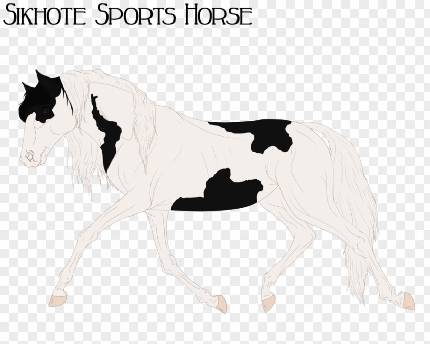 Mustang Pony Stallion Mane Horse Tack PNG