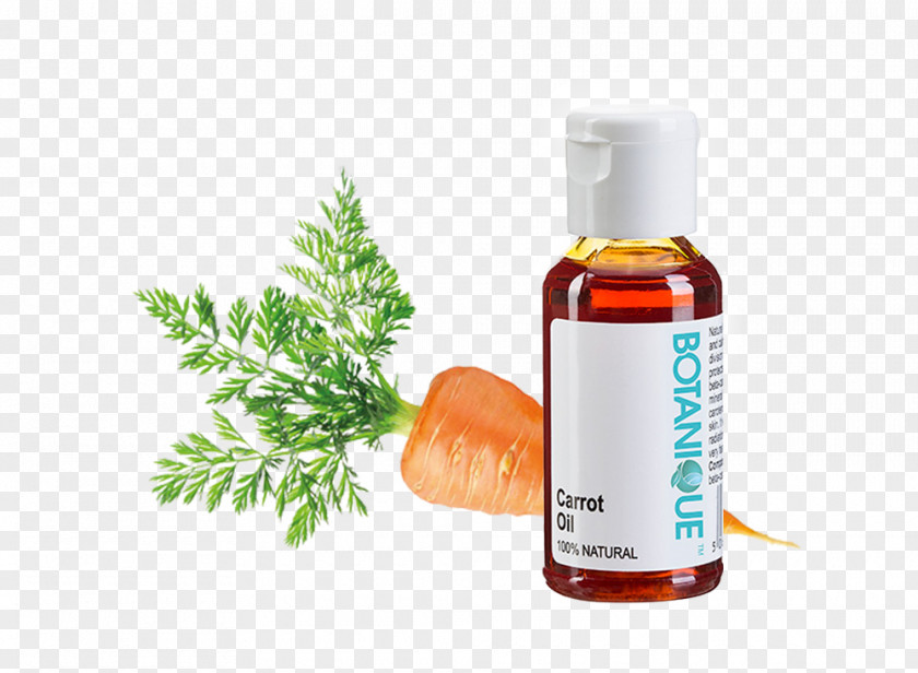 Natural Ingredients Carrot Seed Oil Sunflower PNG