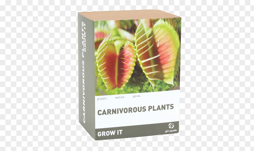 Pitcher Plant Insect Drosera Carnivorous Venus Flytrap PNG