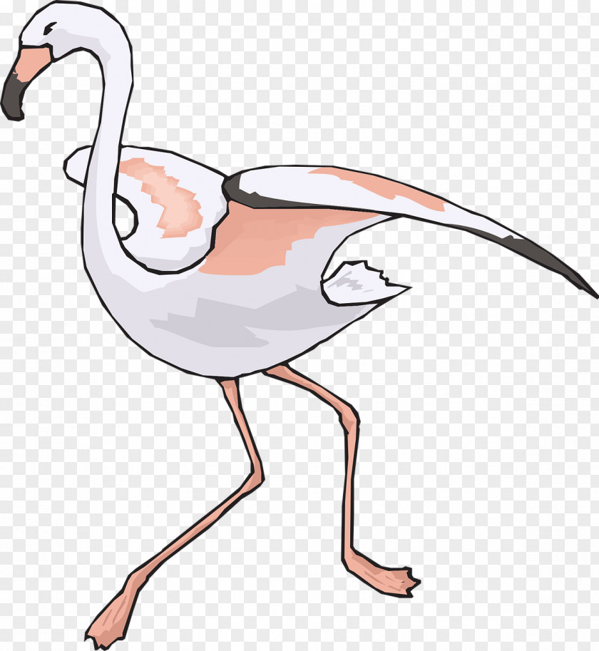 Flamingo Bird Crane Clip Art PNG