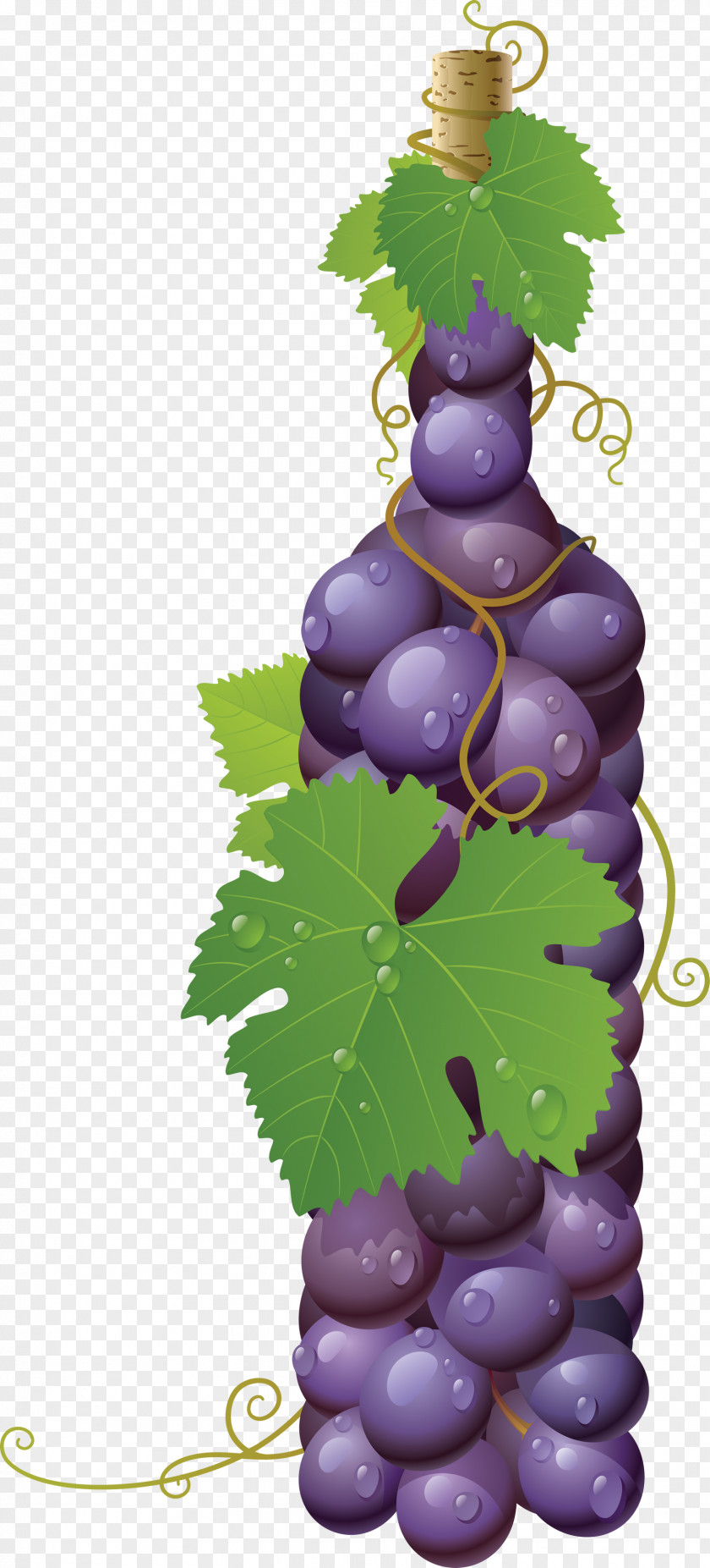 Grape Image Common Vine Wine Must PNG