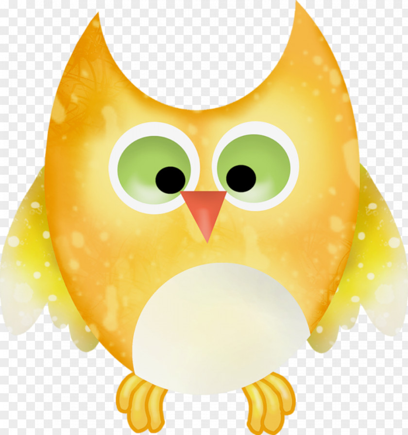 Owls Sovunya Little Owl Bird Clip Art PNG