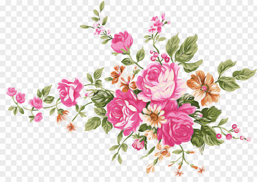 Rosa Rubiginosa Petal Rose PNG