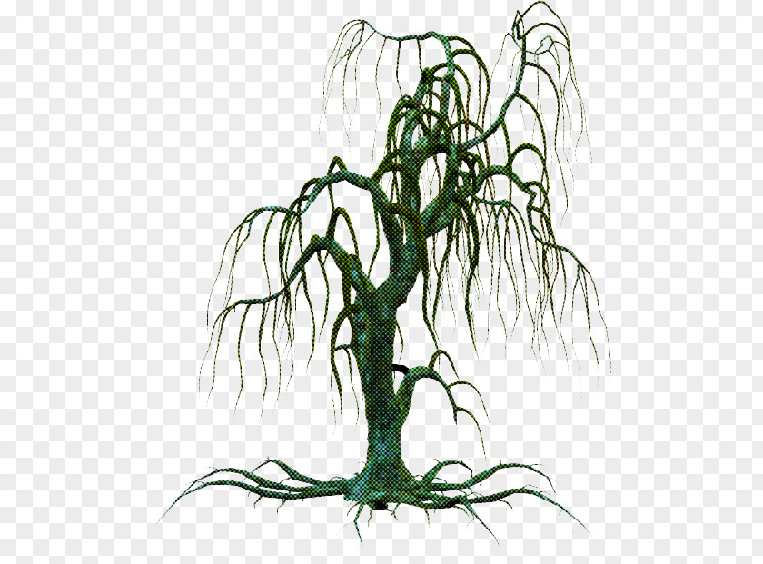 Tree Line Art Plant Branch Stem PNG