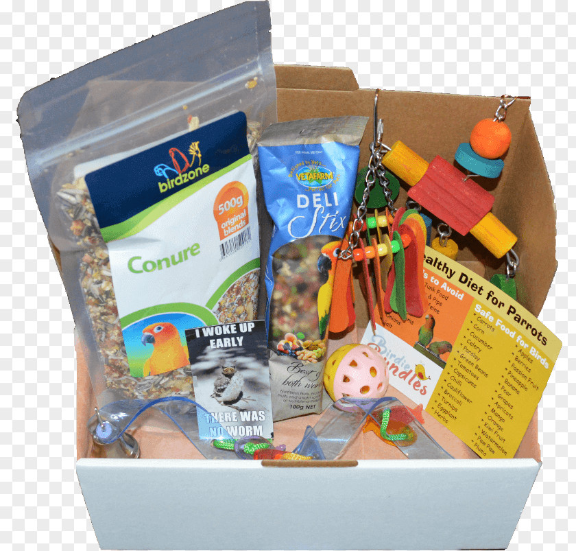 Bird Parrot Subscription Box Plastic PNG