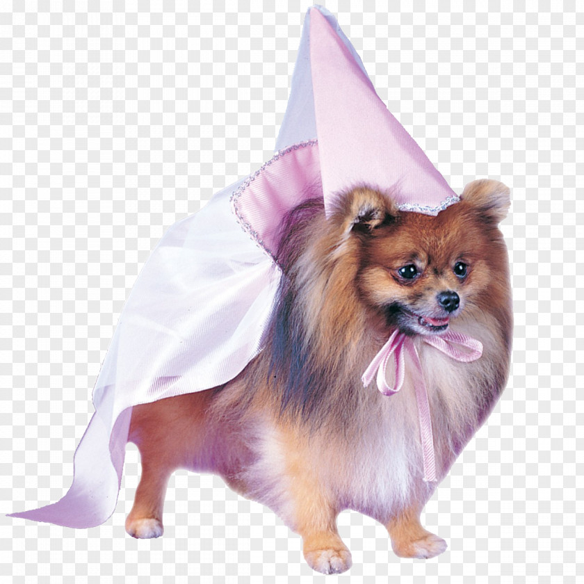 Dog Halloween Costume Pet Dress Pomeranian PNG