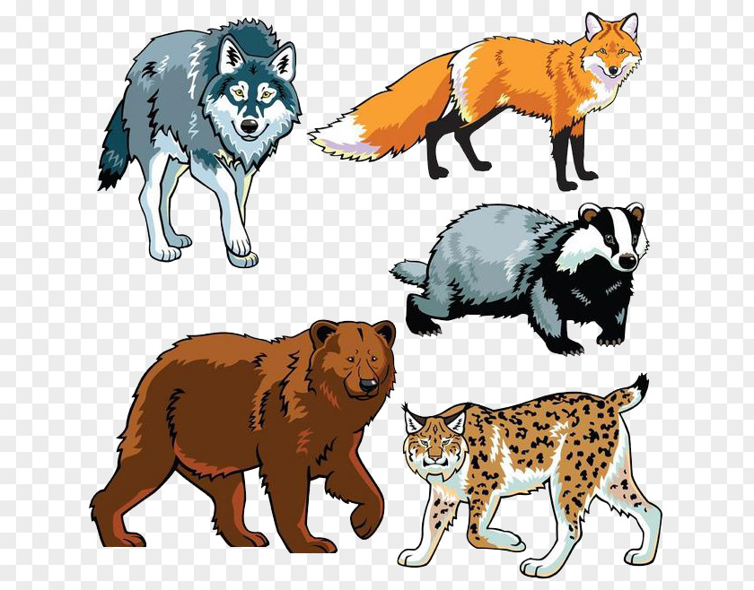 Forest Animals Wildlife Drawing Animal Clip Art PNG