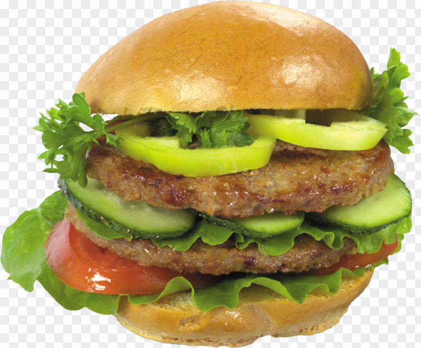 Hot Dog McDonald's Hamburger Salmon Burger Fast Food PNG