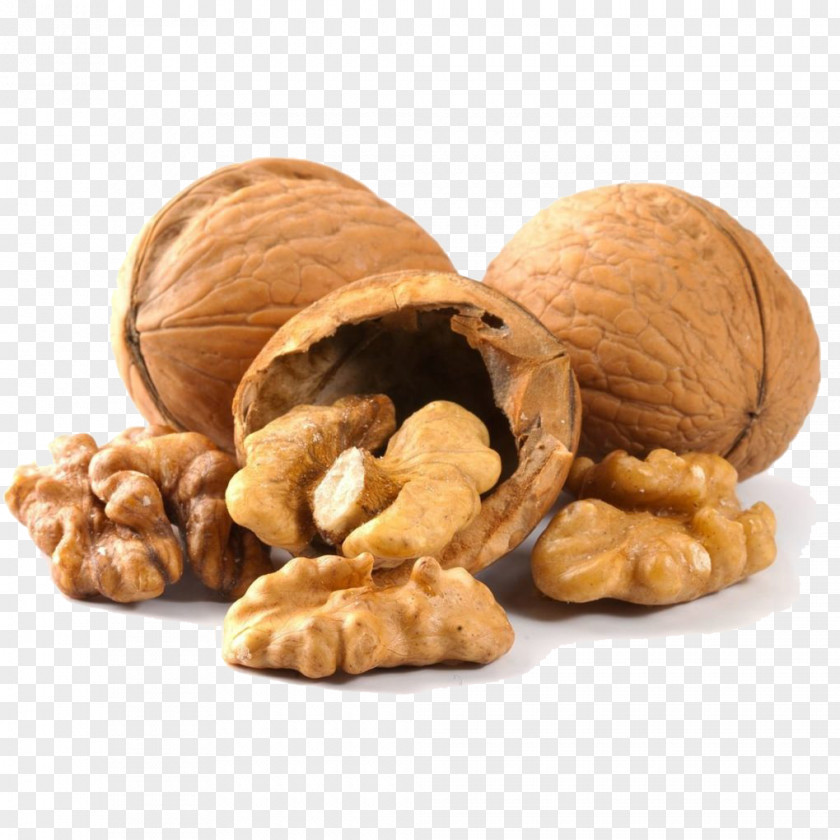 Walnut English Almond Cashew PNG